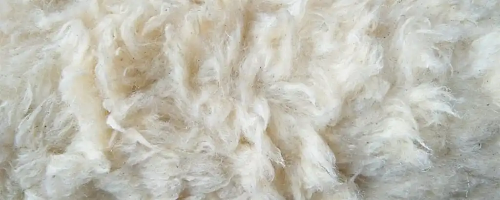 Ankara Yün Yıkama Firmaları